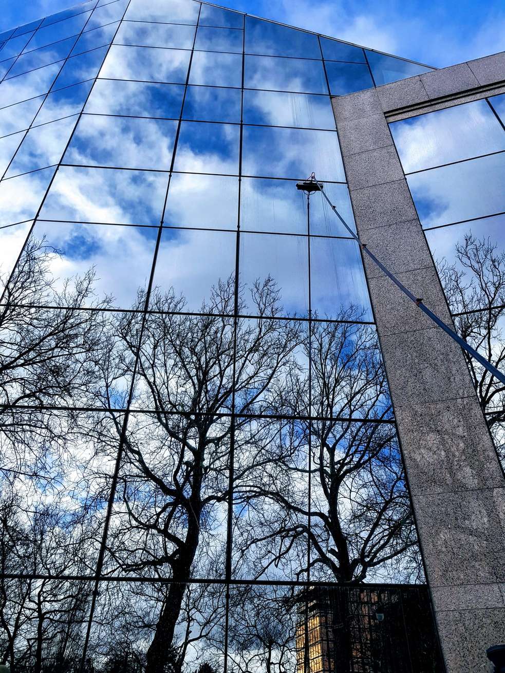 Hoge glasgevel met schaduw van bomen
